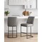Manhattan Comfort Serena Counter Stool in Grey, 2PK 2-CS017-GY - alternate 1